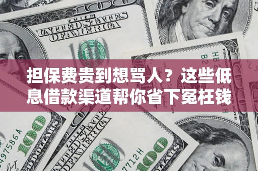 济南担保费贵到想骂人？这些低息借款渠道帮你省下冤枉钱