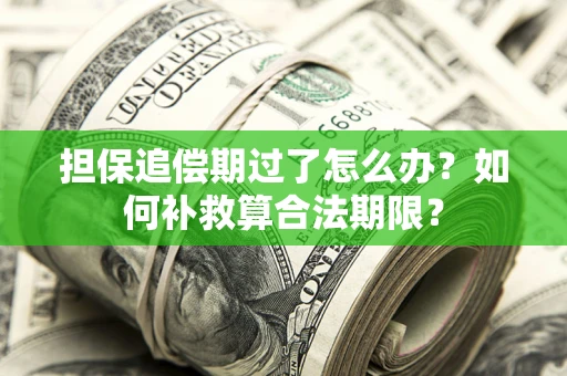 济南担保追偿期过了怎么办？如何补救算合法期限？