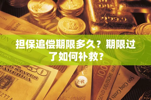 济南担保追偿期限多久？期限过了如何补救？