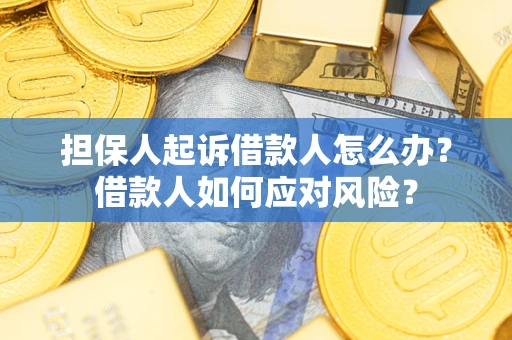 济南担保人起诉借款人怎么办？借款人如何应对风险？