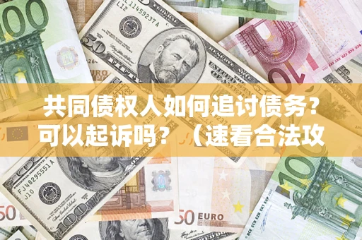 济南共同债权人如何追讨债务？可以起诉吗？（速看合法攻略）